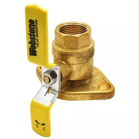 1″ IPS Isolator Flange Valve