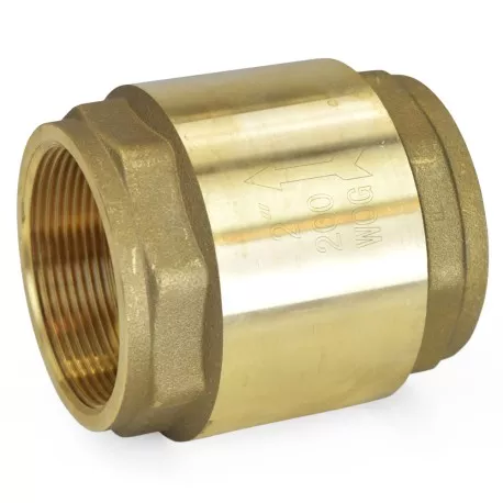 2" Threaded Spring Check Valve, Lead-Free