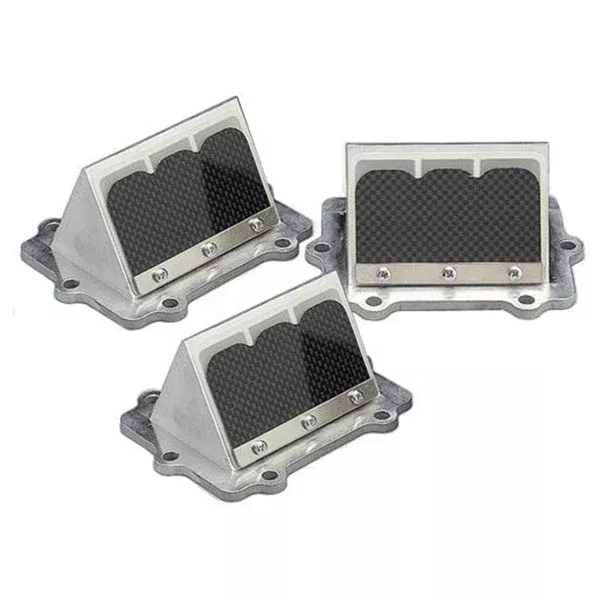 BOYESEN RAD VALVE TRIPLE (RAD66-3)