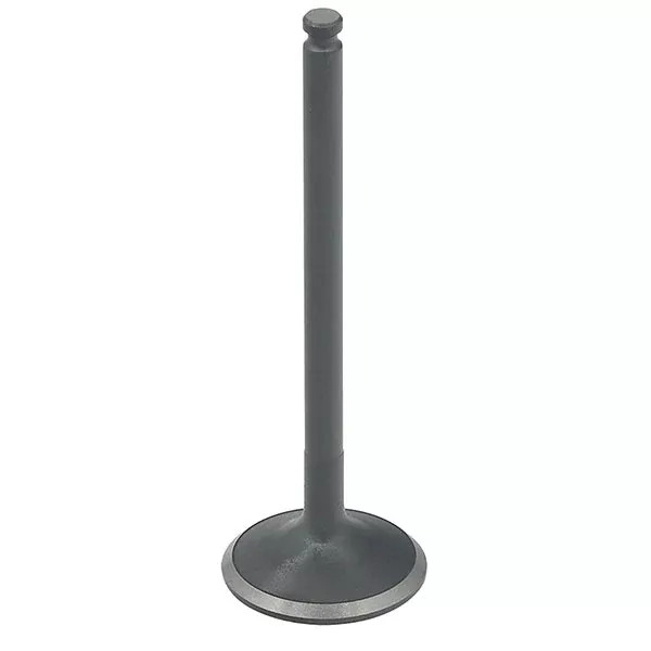 BRONCO ATV/UTV EXHAUST VALVE (AU-09227E)