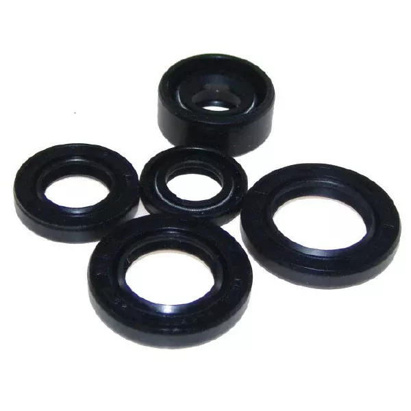 OIL SEAL KIT (02-1000)