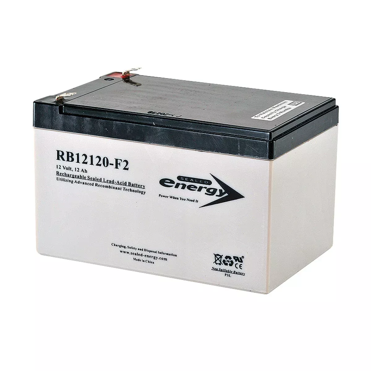 SpeedClean CJ-9613 CoilJet Replacement Sealed Lead Acid Battery