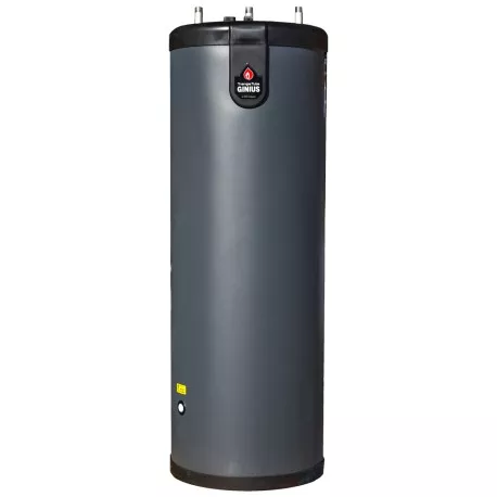Triangle Tube Ginius 55 Indirect Water Heater, 54-Gallon